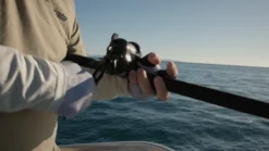 Accurate Ascender Star Drag Reels