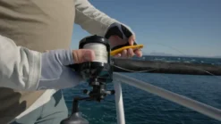 Accurate Ascender Star Drag Reels