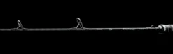 Daiwa Outrage XV Light Jigging Casting Rods