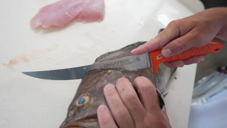 Dexter Dextreme 8" Single Edge Max Flex Fillet Knife with Sheath