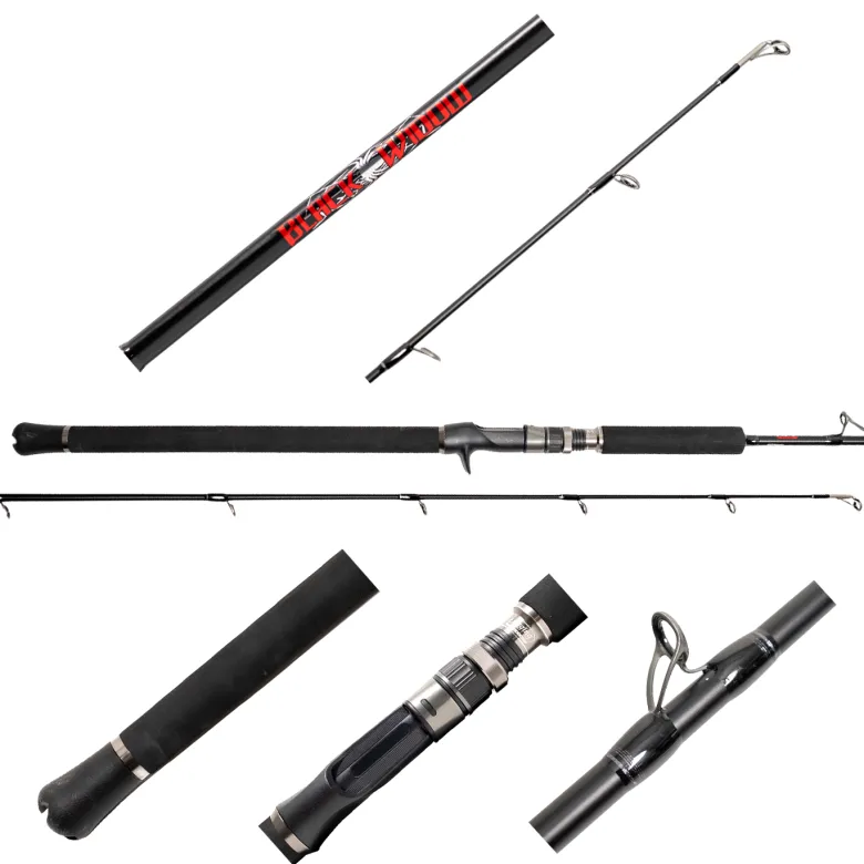 Jigging World Black Widow 2.0 Casting Rods