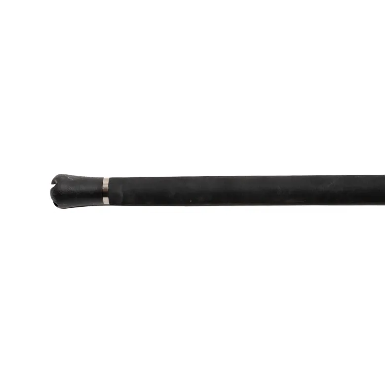 Jigging World Black Widow 2.0 Casting Rods
