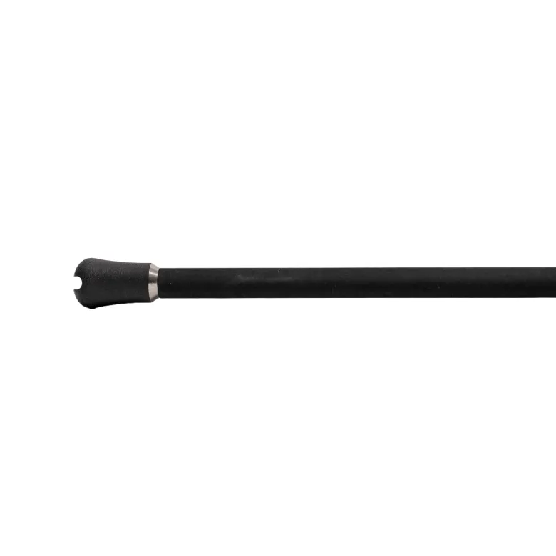 Jigging World Black Widow 2.0 Shore Spinning Rods