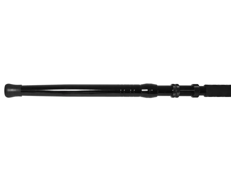 Jigging World Raptor Casting Rods