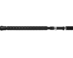 Jigging World Raptor Spinning Rods