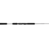 Jigging World Silver Bullet Jigging Spinning Rods