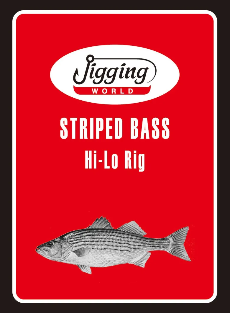 Jigging World Striped Bass Rigs