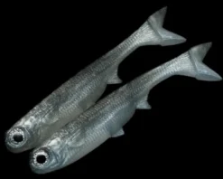 NLBN - No Live Bait Needed K-Tail Swimbait