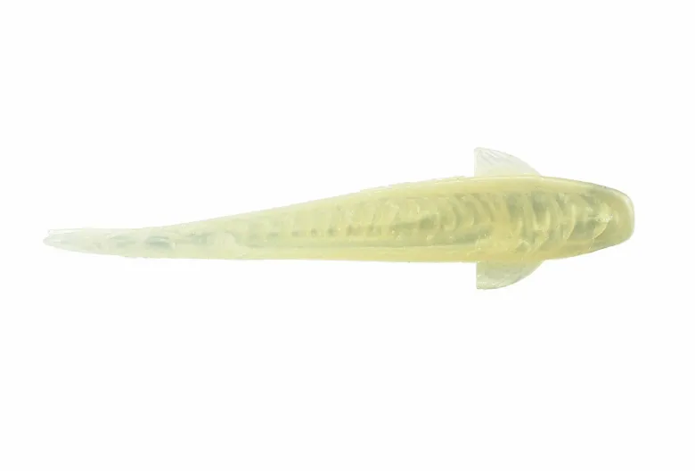 NLBN - No Live Bait Needed 5" Lil Mullets