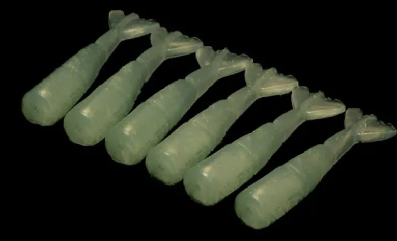 NLBN - No Live Bait Needed 3" Shrimp Tails