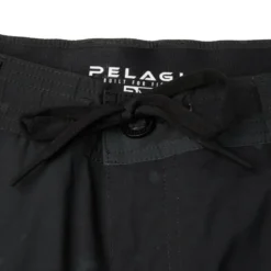 Pelagic 19
