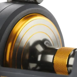 Penn Fathom II Star Drag Reels
