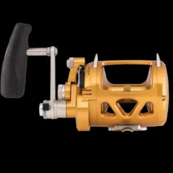 Penn International VISW 2-Speed Lever Drag Reels