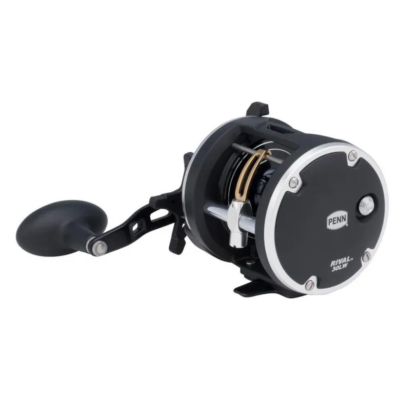 Penn Rival Level Wind Conventional Reels
