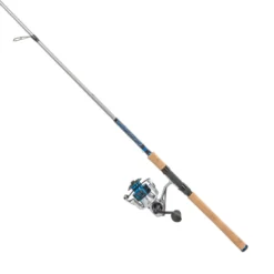 Quantum Strive Spinning Combo