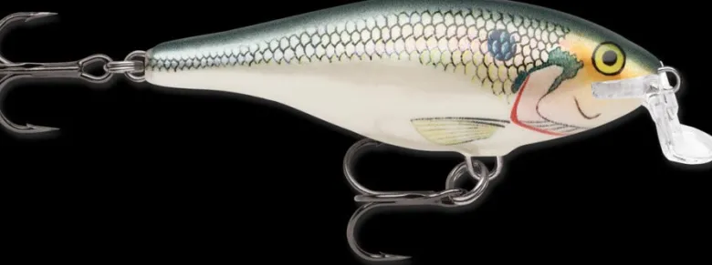 Rapala Shallow Shad Rap Lures