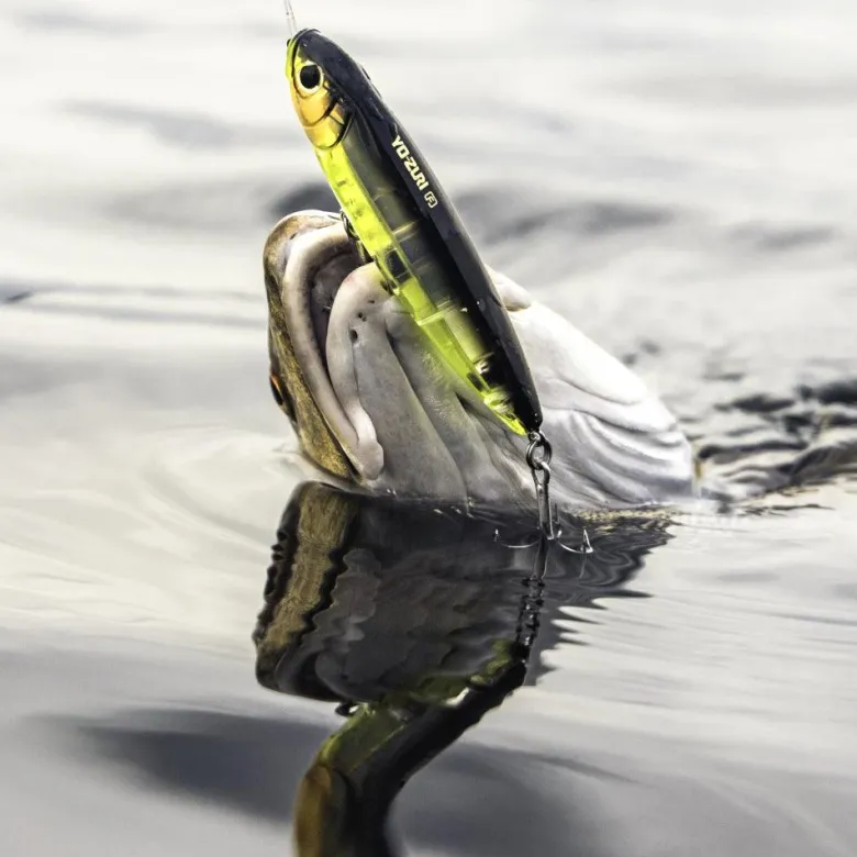 Yo-Zuri 3D Inshore Topknock Pencil Lure